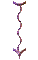 000o0022.gif
