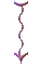 000o0016.gif