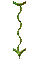 000o0025.gif