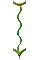 000o001p.gif