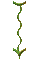 000o0019.gif