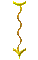 000o001r.gif