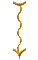 000o001j.gif