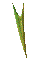 000s0019.gif