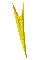 000s001b.gif
