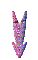 000u0021.gif