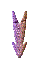 000u0022.gif