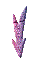 000v0021.gif