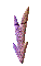 000v0022.gif