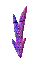 000v0023.gif