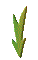 000v0019.gif