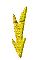 000v0027.gif