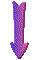 000w0017.gif