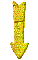 000w0027.gif