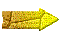 000y0027.gif