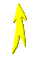 001y0003.gif