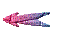 00280021.gif