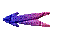 00280023.gif