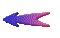 00280017.gif