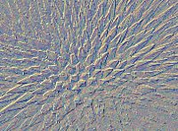 PHOT0500.BMP