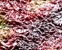 PHOT0496.BMP