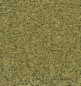 PHOT0448.BMP