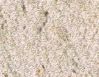 PHOT0404.BMP