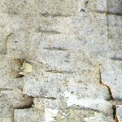 PHOT0283.BMP