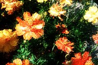 PHOT0220.BMP