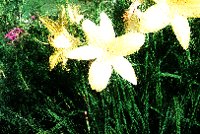 PHOT0216.BMP