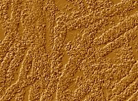 PHOT0036.BMP