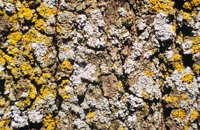 PHOT0329.BMP