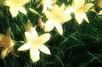 PHOT0215.BMP