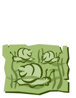 ANIM1276.CGM