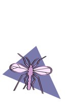 ANIM0926.CGM