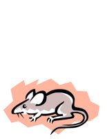 ANIM0767.CGM