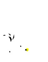 ANIM0637.CGM