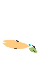 ANIM0636.CGM