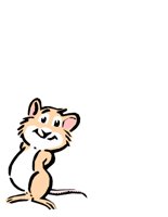 ANIM0594.CGM