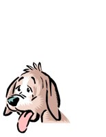 ANIM0556.CGM