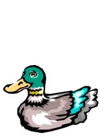 ANIM0412.CGM