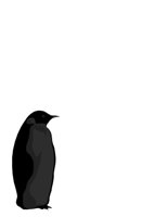 ANIM0241.CGM