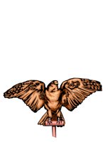 ANIM0097.CGM