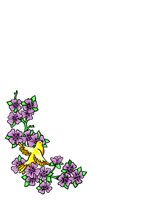 EVEN0260.CGM