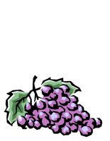 FOOD0538.CGM
