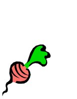 FOOD0516.CGM