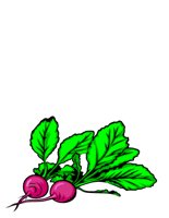 FOOD0204.CGM