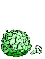 FOOD0181.CGM