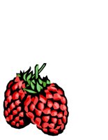 FOOD0144.CGM