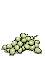 FOOD0132.CGM